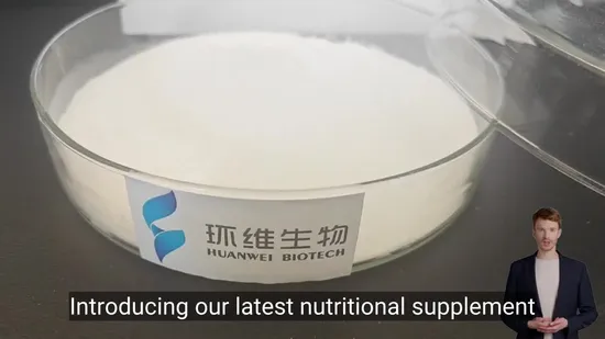 Premium Fermented Bcaa 2: 1: 1 Powder for Muscle Recovery 