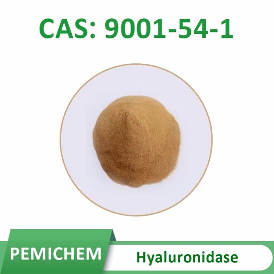 Shanghai Pemichem Lab Supply Raw Materials Pharmaceutical Intermediates Powder Hyaluronidase CAS 9001